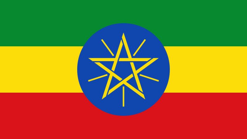 ВВС Эфиопии разбомбили бывшую штаб-квартиру северного командования армии страны в городе Мекелле, которую использовали мятежники
