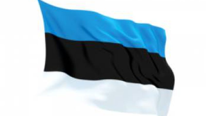 В Эстонии началось строительство временных заграждений на границе с Россией