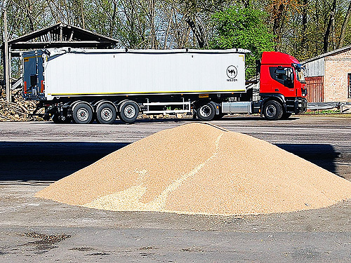 Битва зерновозів: Чи зможе Україна вивезти на експорт власне зерно - зерно