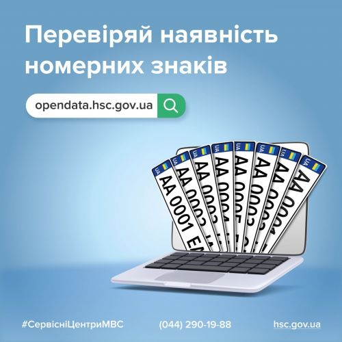 В Україні відновлений онлайн-сервіс про наявність номерних знаків - номер