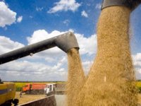 Бельгія і Франція виділяють EUR10 млн і EUR6 млн на програму "Зерно з України"