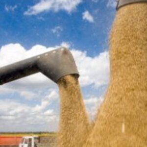 Бельгія і Франція виділяють EUR10 млн і EUR6 млн на програму “Зерно з України”
