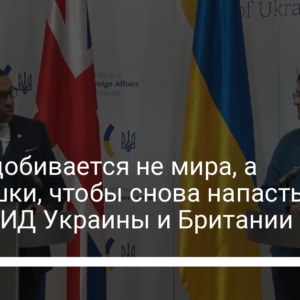 Россия добивается не мира, а передышки, чтобы снова напасть – главы МИД Украины и Британии