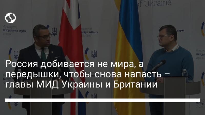 Россия добивается не мира, а передышки, чтобы снова напасть – главы МИД Украины и Британии