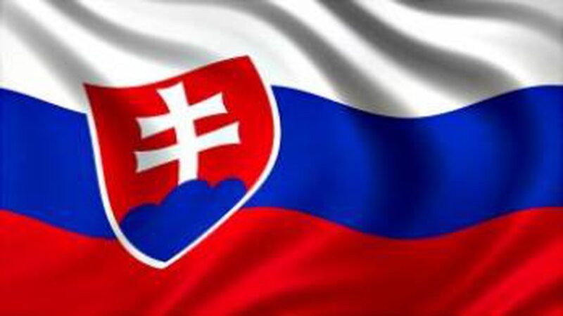 Після тестування системи контролю імпорту українського зерна Словаччина буде готова скасувати заборону