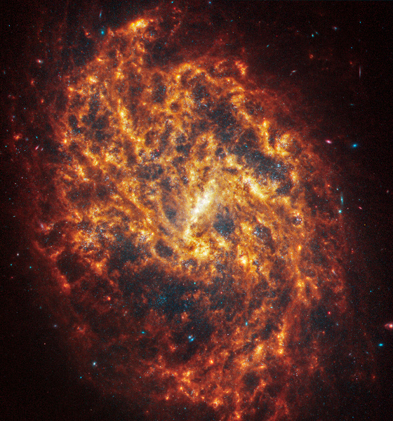 Телескоп «Джеймс Уэбб» запечатлел сокровищницу из 19 спиральных галактик