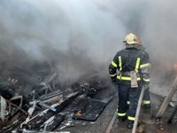 Пожежники ліквідували пожежу поблизу озера Тягле на Осокорках у Києві - КМДА