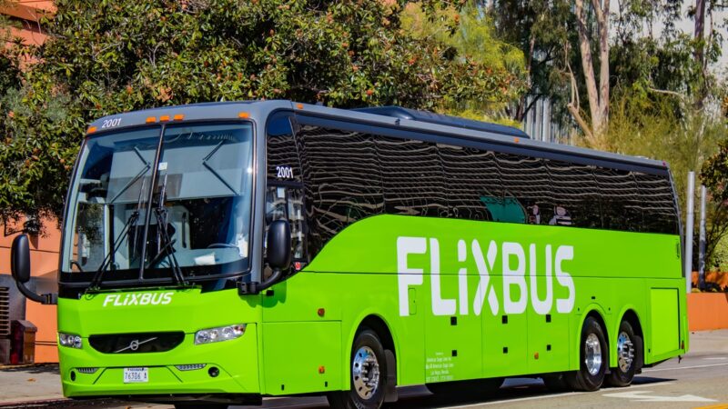 В аварії автобуса FlixBus у Німеччині постраждало дві українки