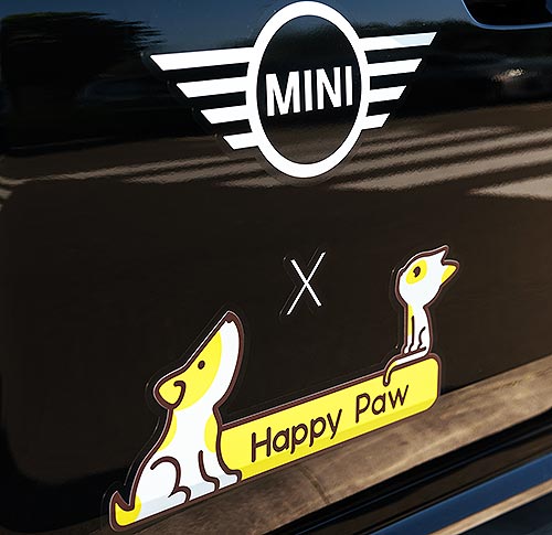 MINI лапки для великих справ: MINI Україна та Happy Paw відбудовуватимуть притулки для безхатніх тварин - MINI