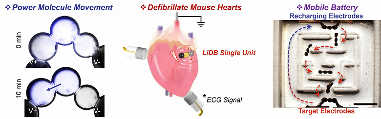 Миниатюрная батарея для биомедицины: новый шаг в лечении сердечных аритмий